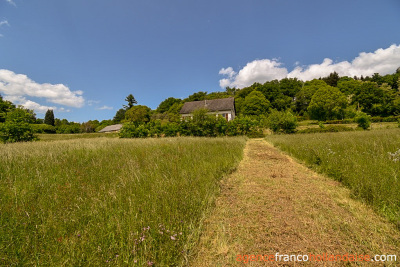 Gelijkvloers huis met 1,5 hectare