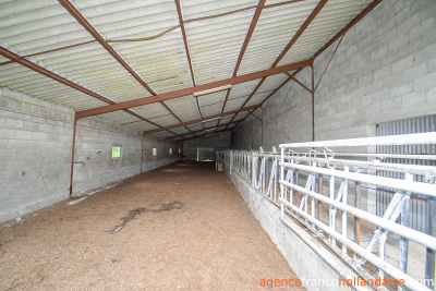 Boerderij met bijgebouwen en 4 hectare