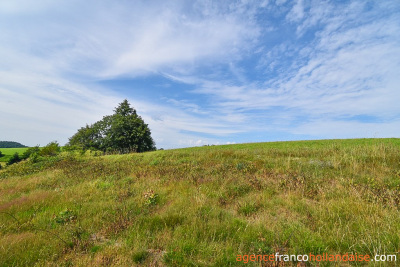 Boerderij met bijgebouwen en 4 hectare