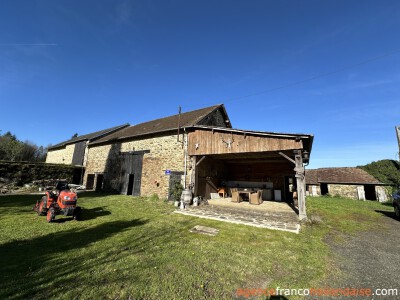 Grote schuur met “eend” en knus huis op 3.5 ha