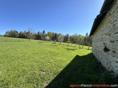 Grote schuur met “eend” en knus huis op 3.5 ha