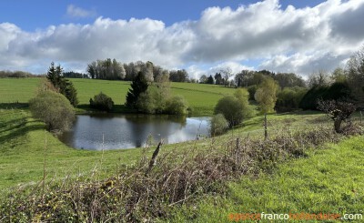 Grote schuur met “eend” en knus huis op 3.5 ha