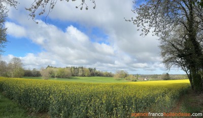 Grote schuur met “eend” en knus huis op 3.5 ha