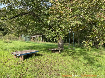 Eigen bos, knus huisje en schuur