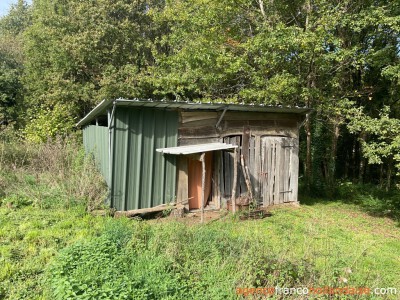 Eigen bos, knus huisje en schuur