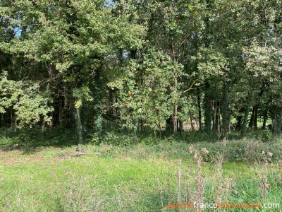 Eigen bos, knus huisje en schuur