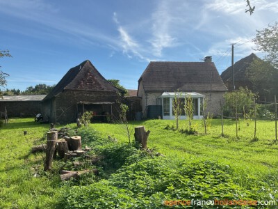 Eigen bos, knus huisje en schuur