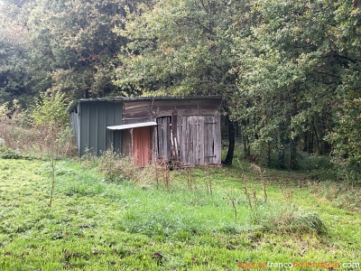 Eigen bos, knus huisje en schuur